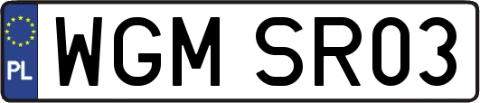 WGMSR03