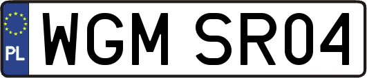 WGMSR04