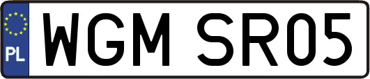 WGMSR05