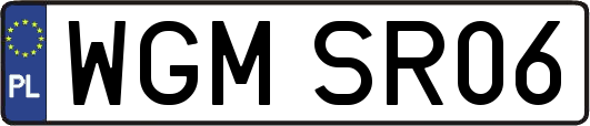 WGMSR06
