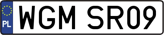 WGMSR09