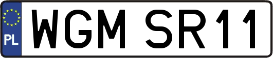 WGMSR11