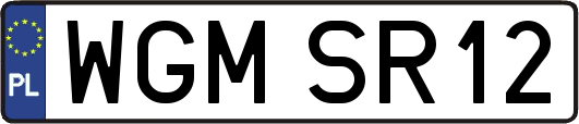 WGMSR12