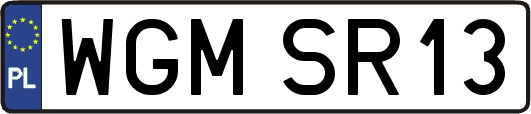 WGMSR13