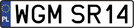 WGMSR14