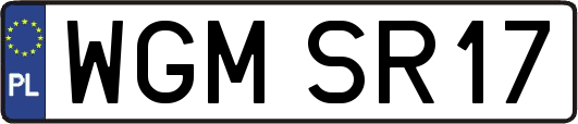 WGMSR17