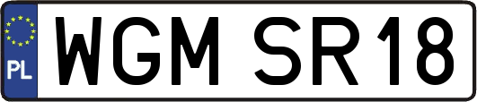 WGMSR18