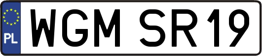 WGMSR19
