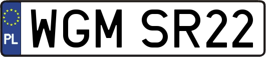 WGMSR22