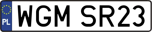 WGMSR23