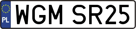 WGMSR25