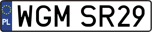 WGMSR29