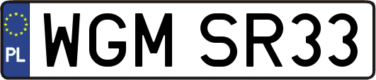 WGMSR33