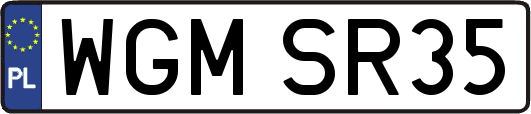 WGMSR35