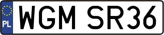 WGMSR36