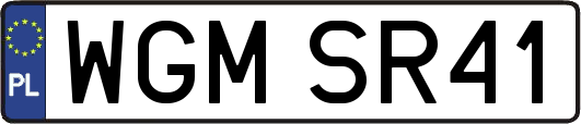 WGMSR41