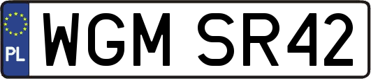 WGMSR42