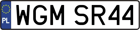 WGMSR44
