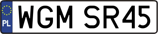 WGMSR45