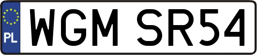 WGMSR54