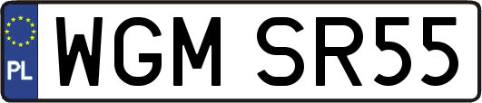 WGMSR55