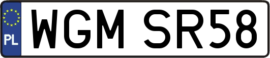 WGMSR58