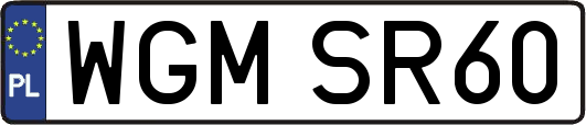 WGMSR60