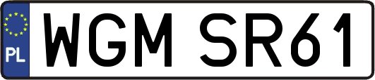 WGMSR61