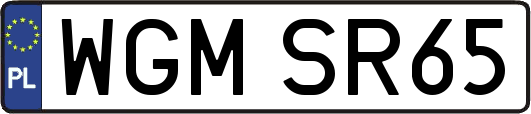 WGMSR65
