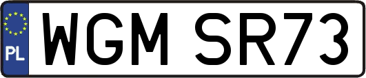 WGMSR73