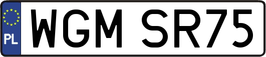 WGMSR75