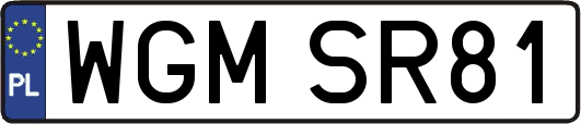 WGMSR81