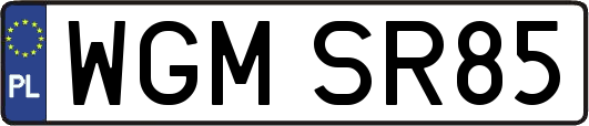 WGMSR85