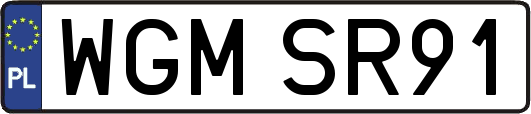 WGMSR91