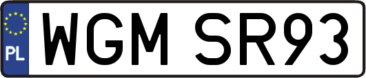 WGMSR93