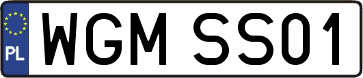 WGMSS01