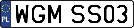 WGMSS03