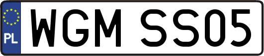 WGMSS05