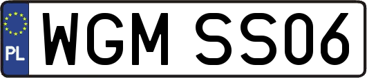 WGMSS06