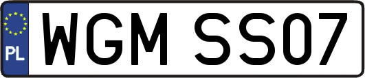 WGMSS07
