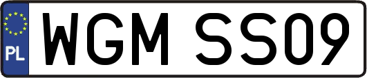 WGMSS09