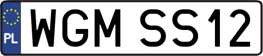 WGMSS12
