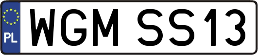WGMSS13