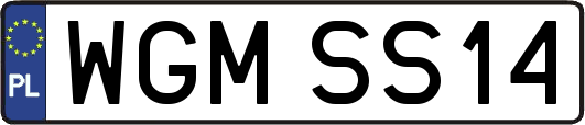 WGMSS14