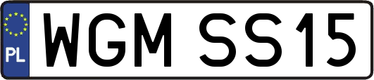 WGMSS15