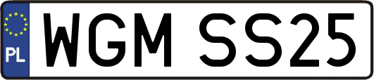 WGMSS25