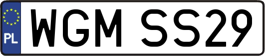 WGMSS29