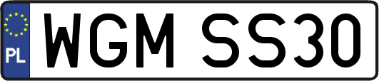 WGMSS30