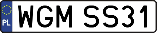 WGMSS31