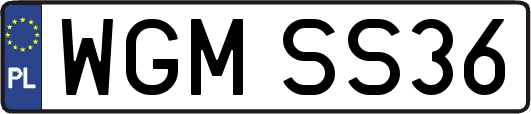 WGMSS36